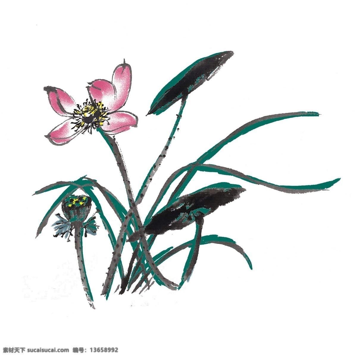 水墨 风 荷花 荷叶 手绘 插画 夏季 夏天 出水芙蓉 芙蓉 中国风 古风 水墨风 墨迹 彩色 春天 生动 花草 国风
