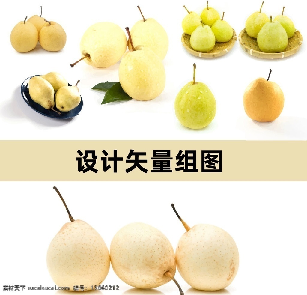 鸭梨矢量 梨矢量 水果高清 源文件 ai矢量 水果素材 水果 分层