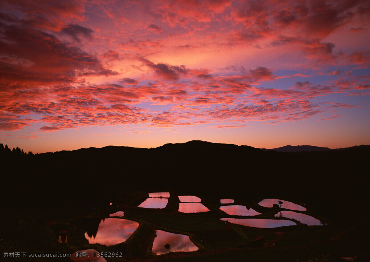 夕阳 天空 田野 夕阳天空 乡村田园图片 植物 庄稼 风景 生活 旅游餐饮