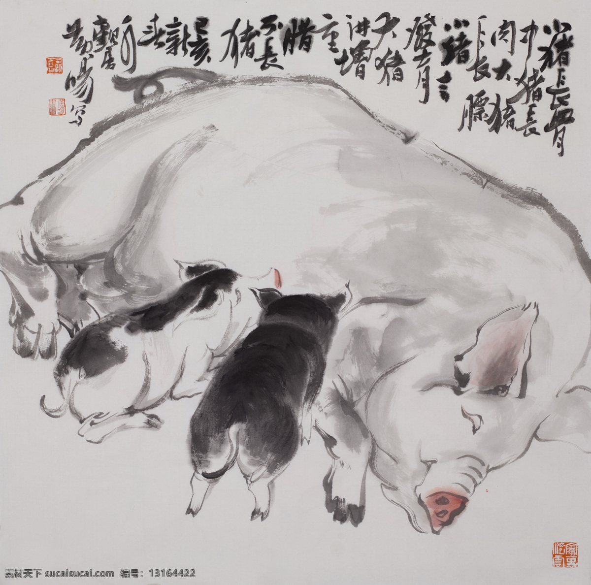 黄晓明 写意 花鸟 猪 国画 水墨 黄旸 书法 篆刻 诏安 写意花鸟 作品 文化艺术 绘画书法