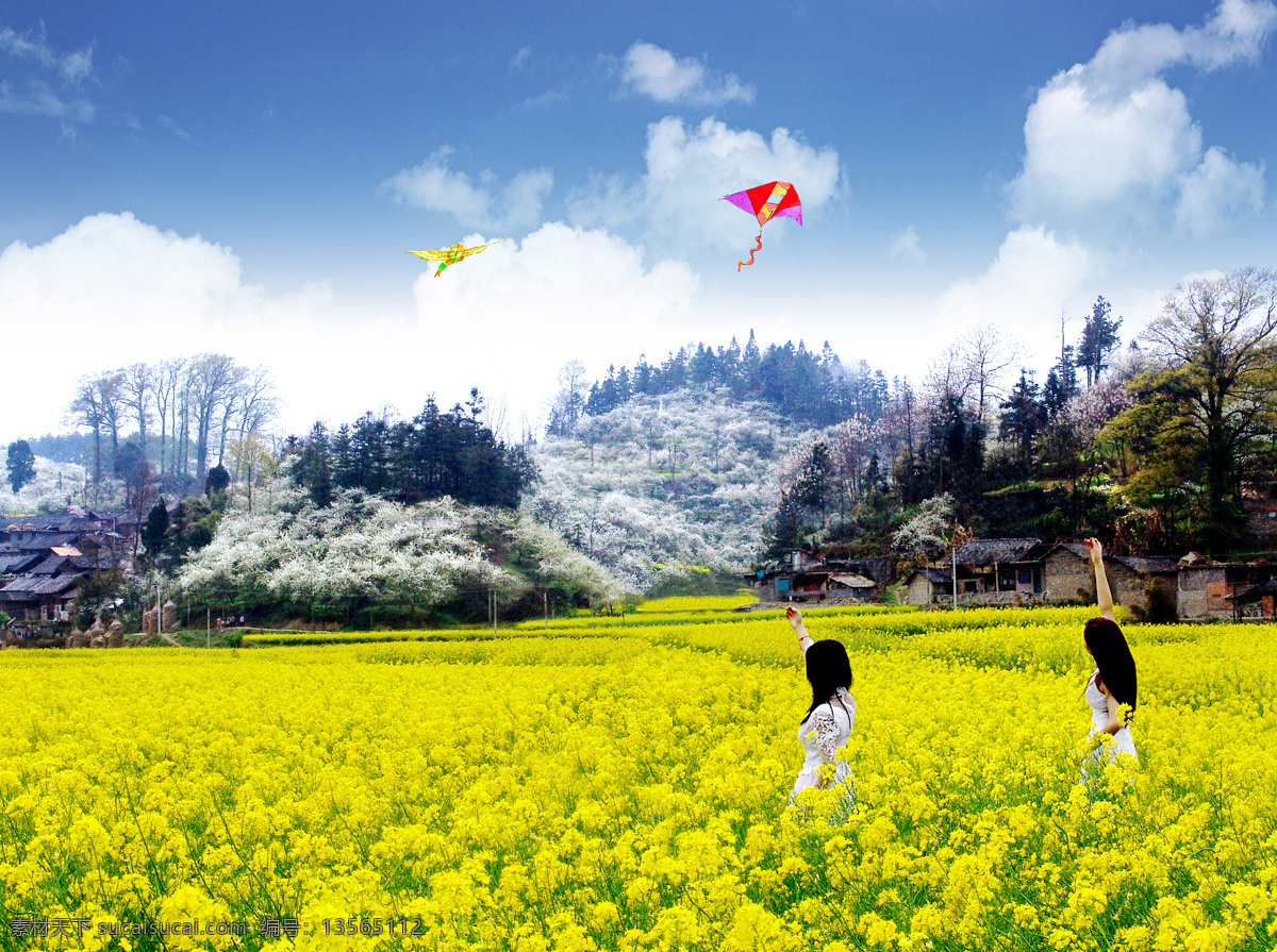金海 雪山 春天 贵州 田园风光 油菜花 自然景观 金海雪山 贵定 psd源文件