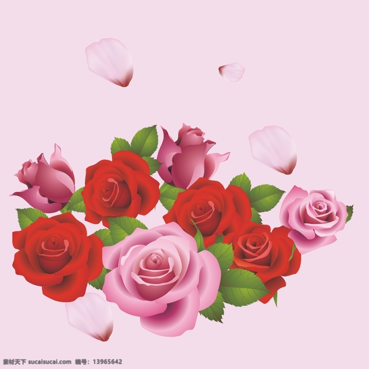 粉色 红玫瑰 粉玫瑰 玫瑰 朵花 玫瑰标志 背景素材 底纹边框 花边花纹 化妆品 红色