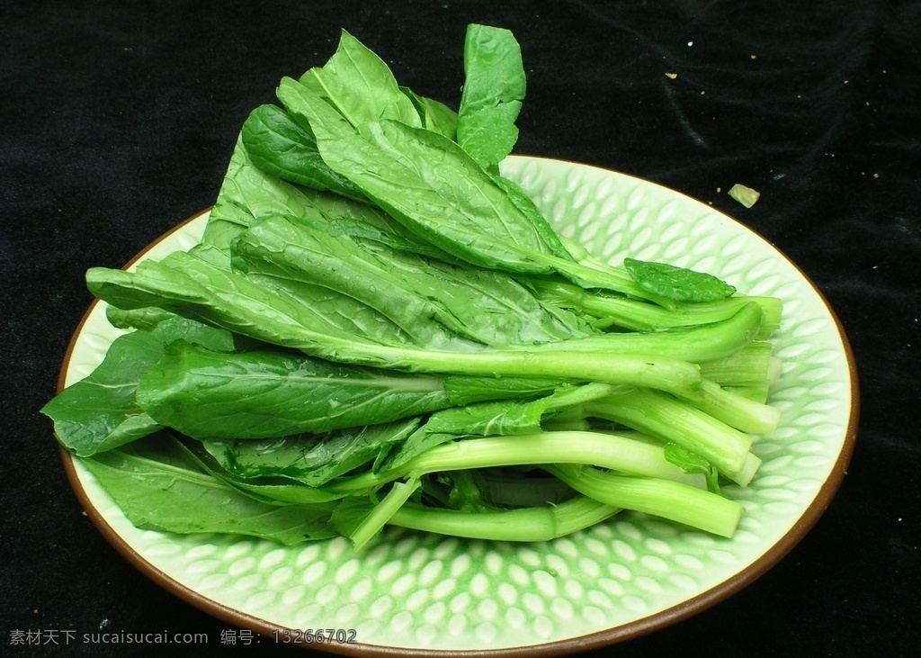 广东菜心 菜心 青菜 蔬菜 菜叶 绿色蔬菜 有机蔬菜 餐饮 餐饮美食 传统美食