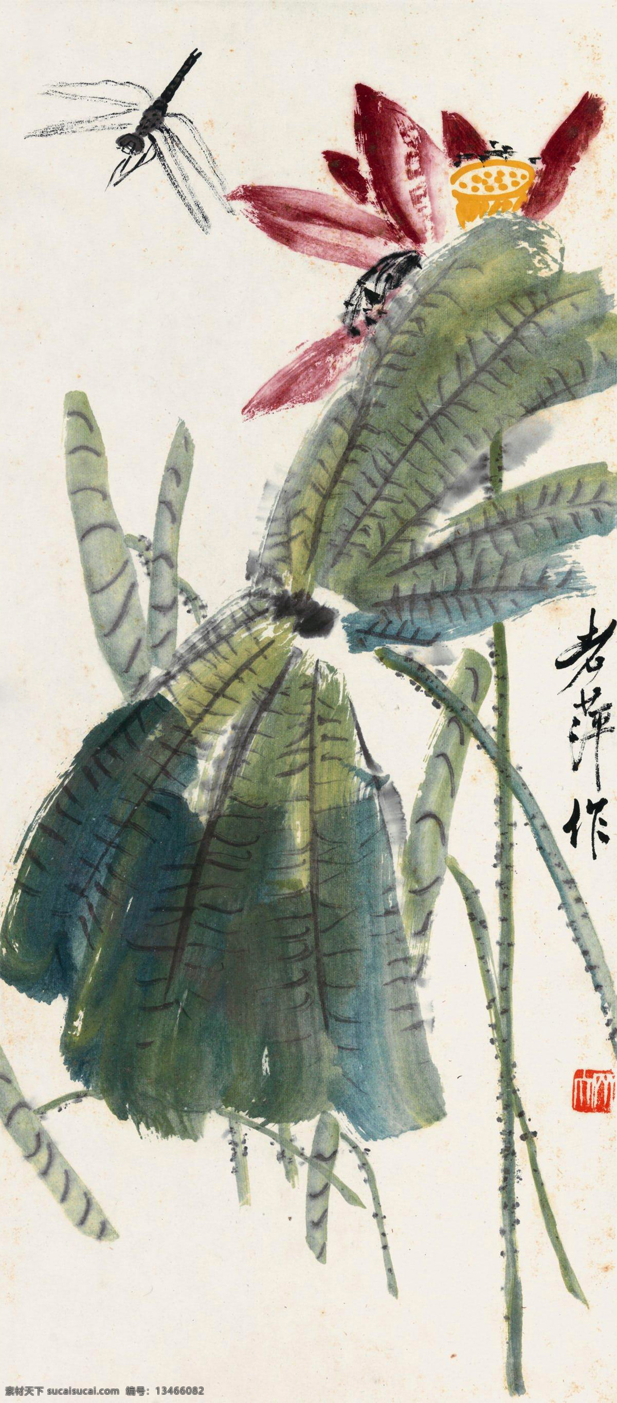荷花蜻蜓 国画 齐白石 荷花 蜻蜓 绘画书法 文化艺术 国画齐白石