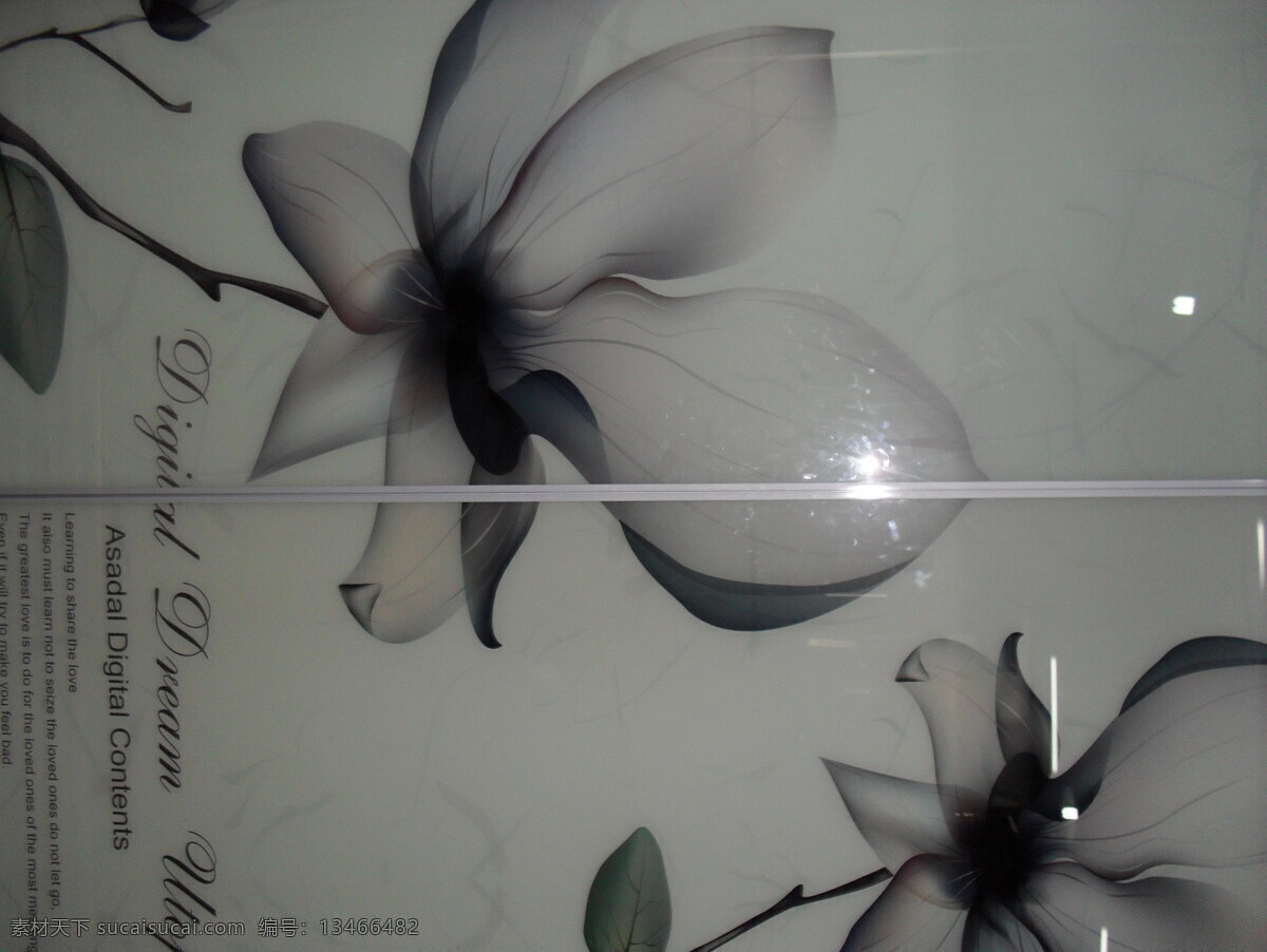 黑白 花带 英文 玻璃移门图库 矢量图 黑白花 矢量 花纹 花边 底纹 边框