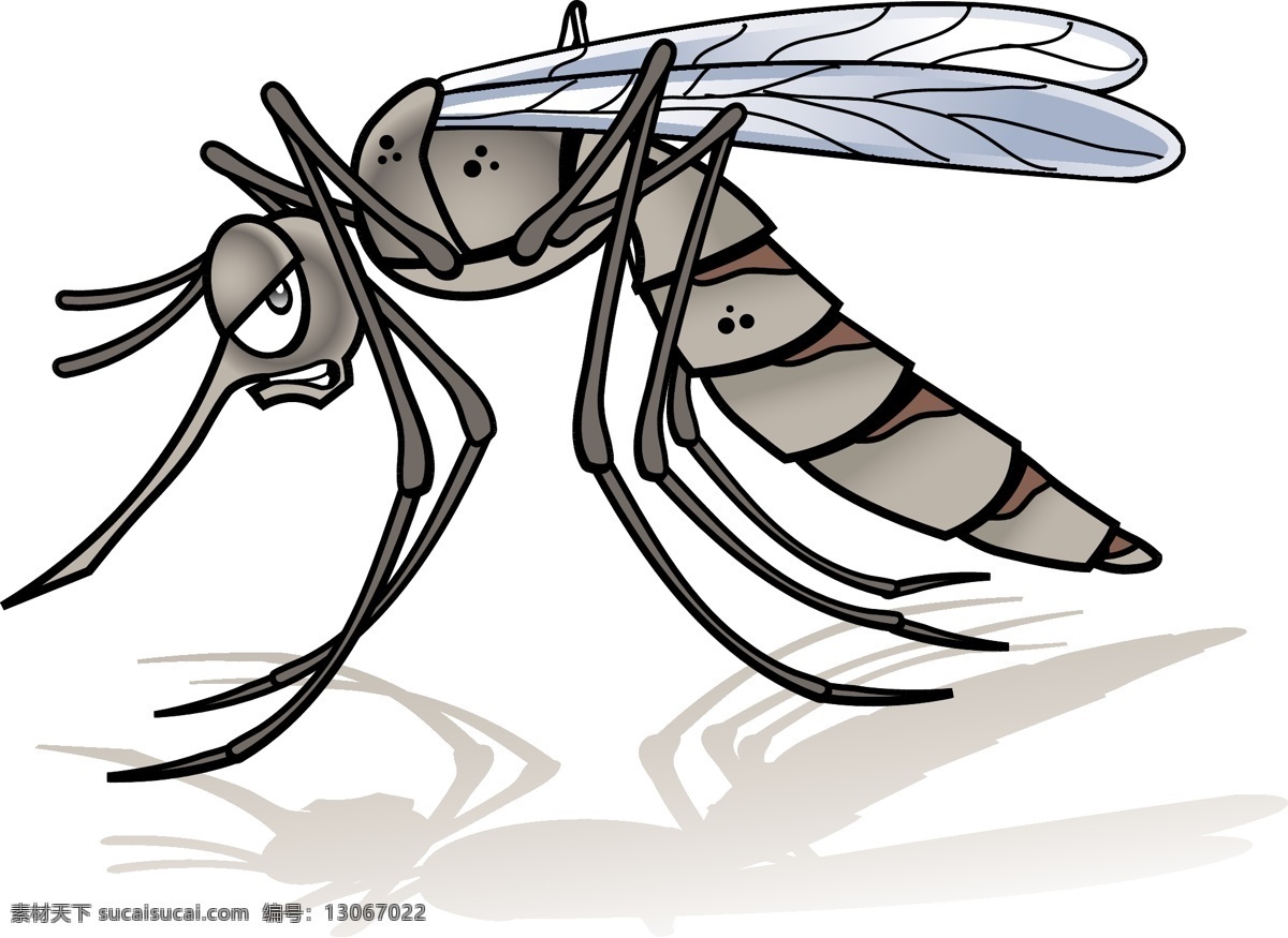 矢量蚊子 卡通蚊子 手绘蚊子 蚊子插画 凶悍蚊子 可怕蚊子 蚊子哲人 拟人蚊子 蚊子角色 动物 生物世界 昆虫