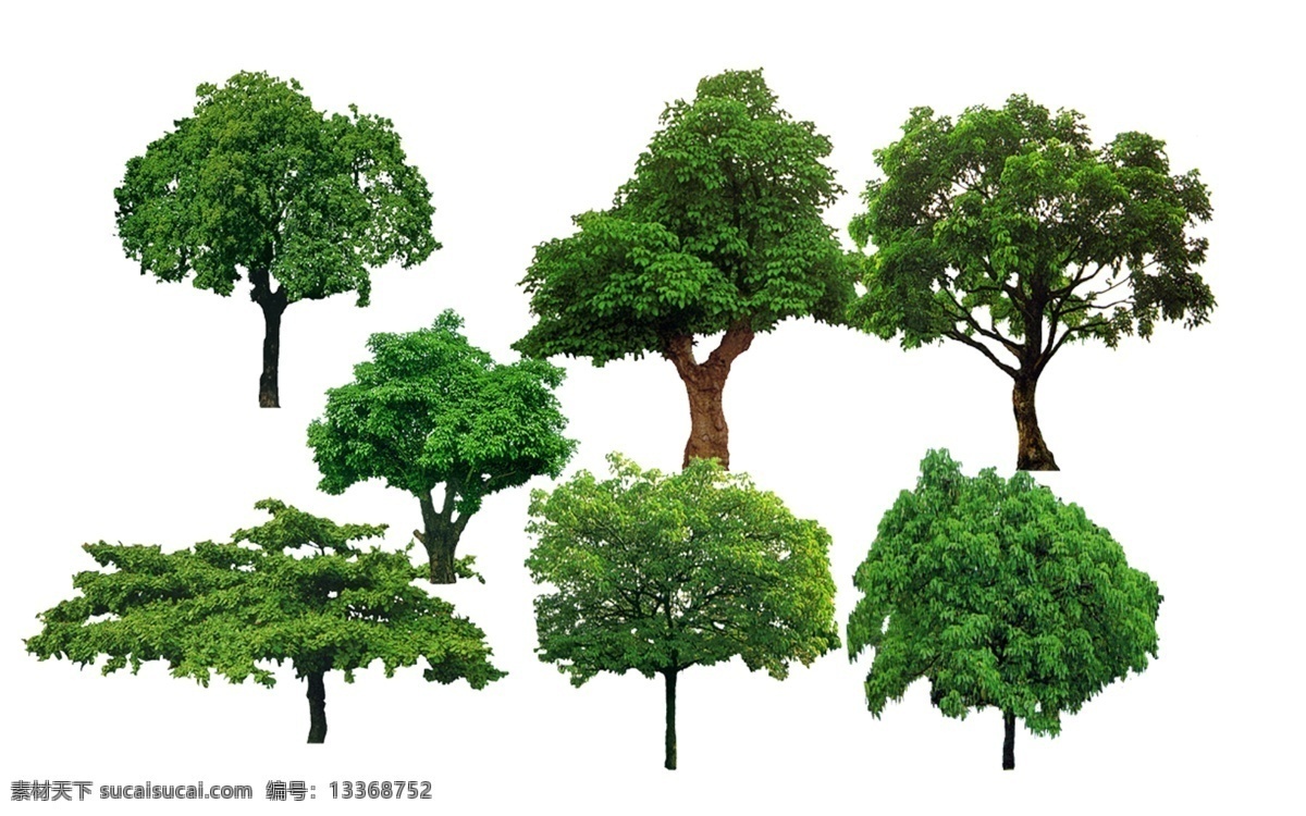 树素材 树图案 树图片 小树 小树素材 小树图案 分层树 树苗 树苗图案 树苗素材 大树 大树素材 草 草素材 小草 小草素材 小草图案 春天 春天素材 参天大树 许愿树 许愿树素材 树背景 树底纹 大树背景 大树底纹 绿化 绿化素材 绿化树 绿化背景 绿化树素材 绿化带 绿化带素材 路边小树 底纹边框 其他素材