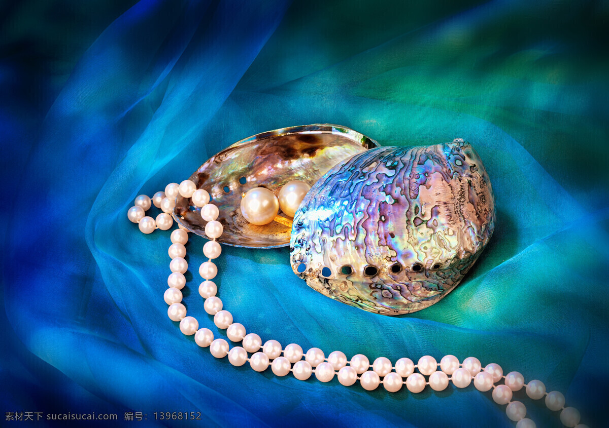 天然珍珠 项链 珍珠项链 首饰 珍珠摄影 贝壳 贝类 珠宝 珍珠贝 珍珠贝壳 大珍珠 白珍珠 生活交通 生活百科
