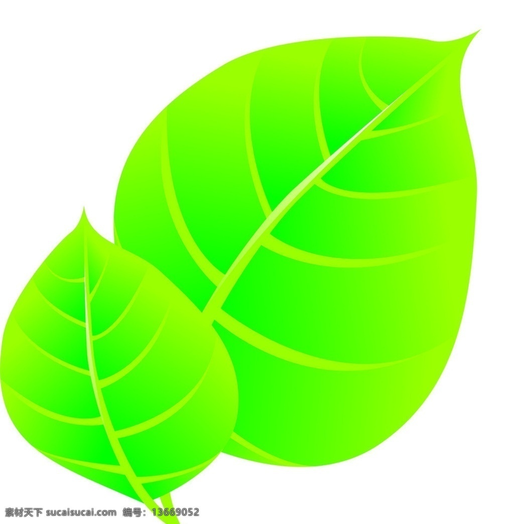 树叶 水仙花 探寻宣传画 陀螺玩具 相框 卡通熊 小熊憨憨 卡通动物 卡通人物 草地 自然风景 自然景观 矢量