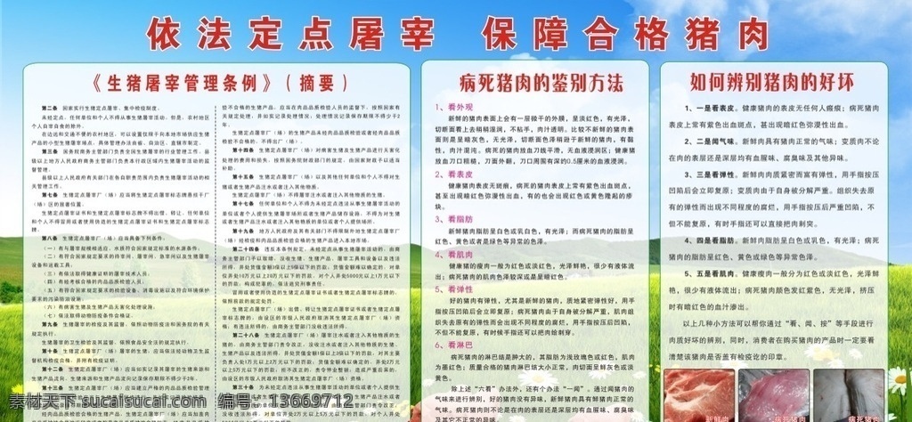 猪场展板 食品展板 食品宣传 猪肉识别 食品安全 屠宰场展板 屠宰场宣传 展板模板