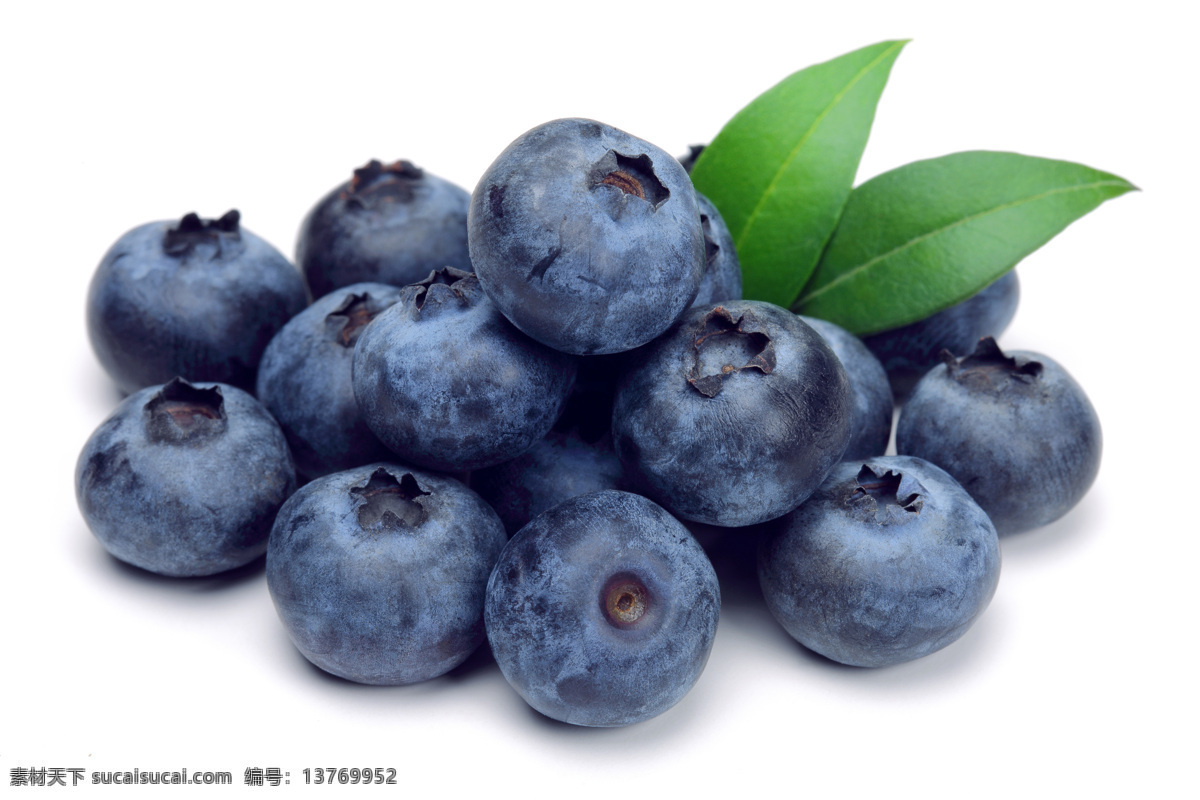 蓝莓照片 蓝莓图片 蓝莓摄影 蓝莓大图 蓝莓高清照片 蓝莓高清图片 吃蓝莓 蓝莓高清大图 蓝莓摄影大图 水果高清照片 水果高清大图 健康水果 美国蓝莓 进口蓝莓照片 生物世界 水果
