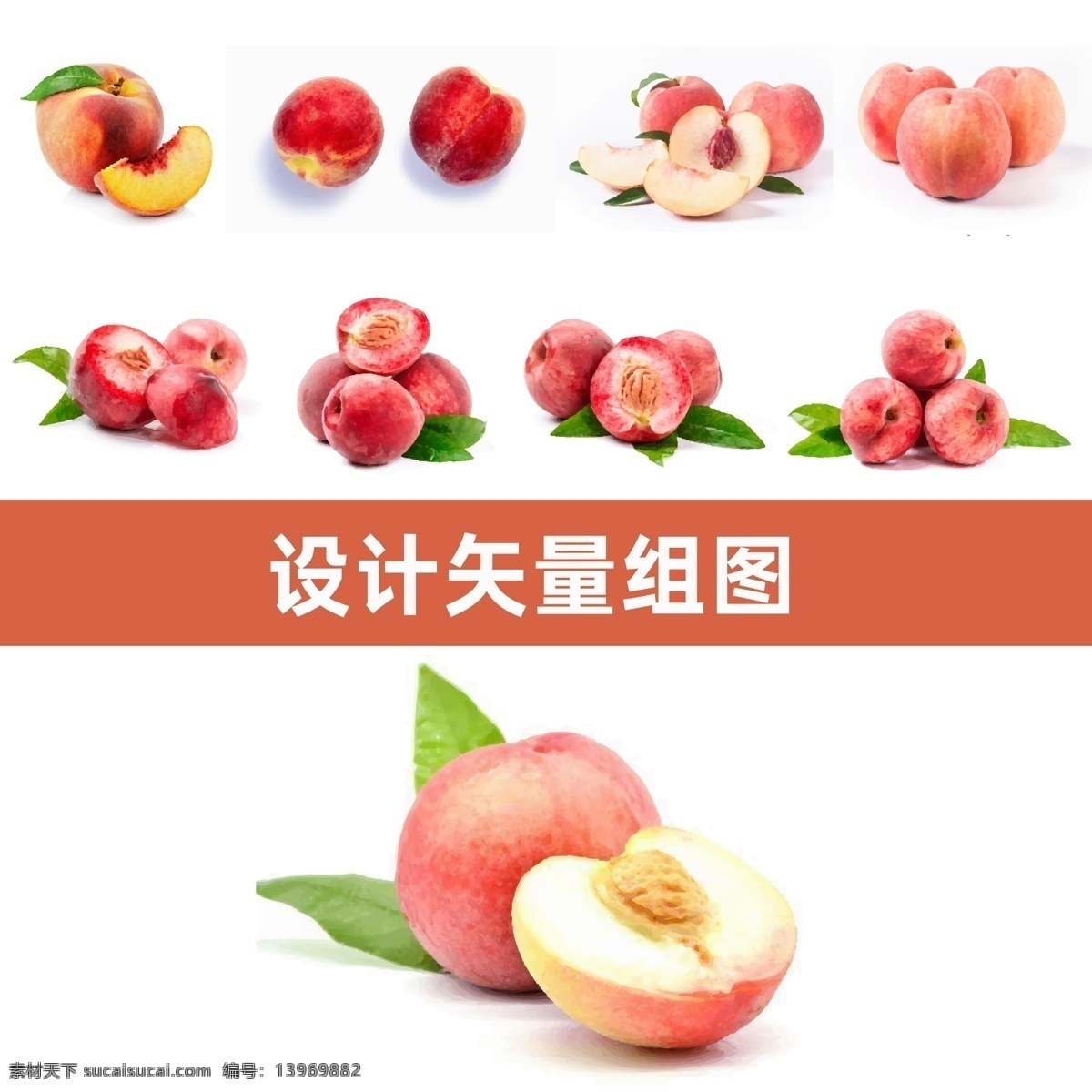 桃子 毛桃矢量 桃子矢量 水果高清 矢量素材 水果 分层