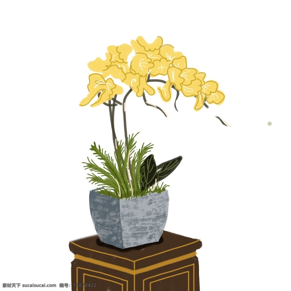 黄色 植物 花朵 元素 大自然 风景 景色 保护环境 盆栽 绿植 开花