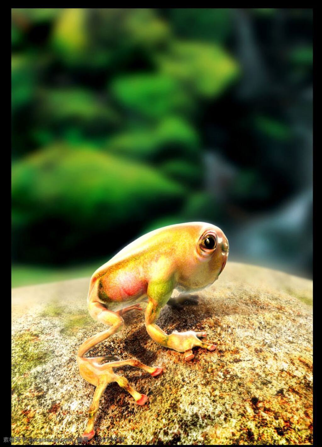青蛙 背景 动漫动画 动漫人物 风景 封面 绿色 海报 石头 眼镜 游戏人物 海报背景图