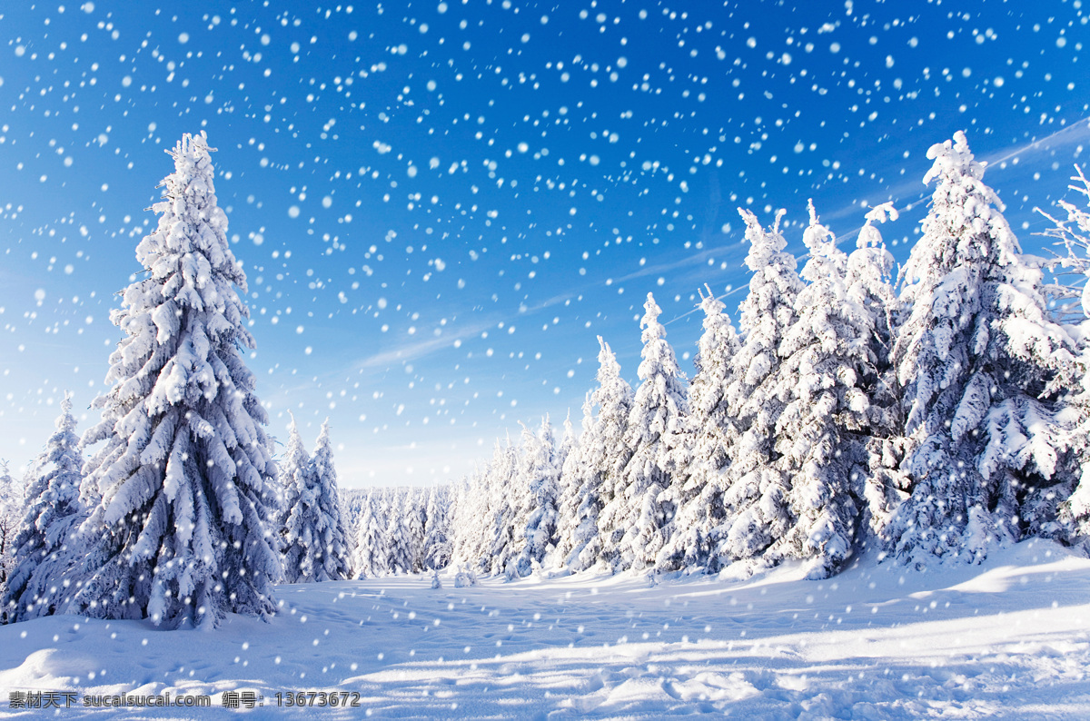 美丽冬季雪景 雪地风景 树木风景 冬天树林雪景 冬天雪景 冬季风景 美丽风景 自然风景 自然景观 蓝色