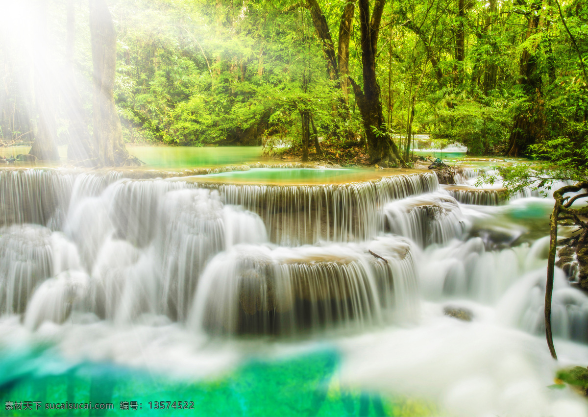 森林 草地 森林景观 树 阳光 瀑布景观 壁纸 花朵 风景 自然山水 花 自然景观 树木 自然风景