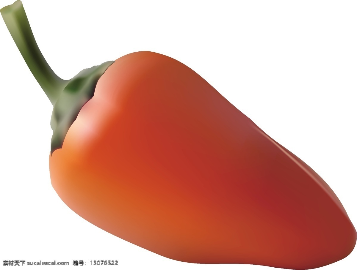 红 辣椒 矢量 元素 实物 食材 食物 蔬菜