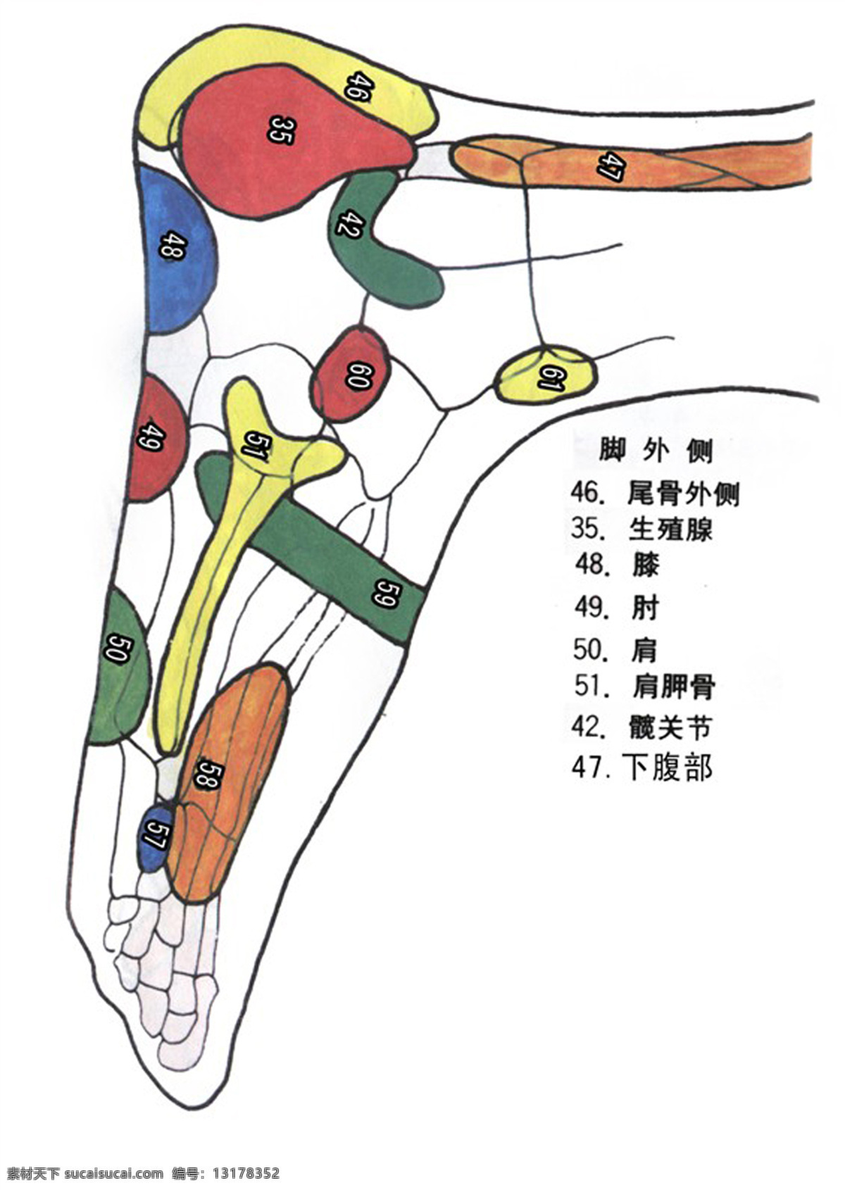 按摩 传统文化 肝 脚 金色背景 器官 人 足疗 穴位 设计素材 模板下载 足疗穴位 足疗穴位图 反射区挂图 心 脾 胃 肾 源文件 中医 足浴 文化艺术 海报 其他海报设计