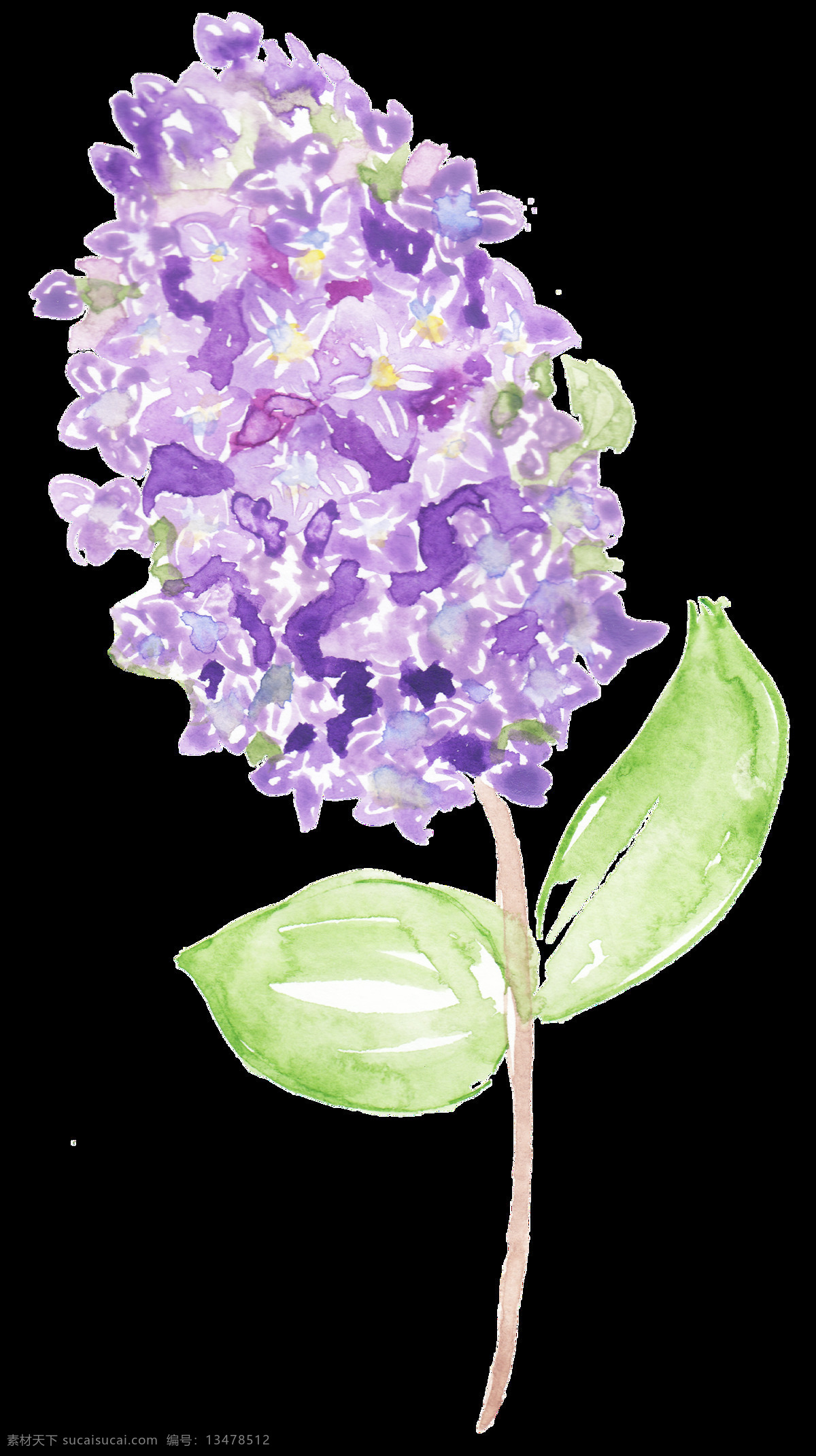 粉 紫 果肉 卡通 透明 花瓣 枝叶 透明素材 免扣素材 装饰图案