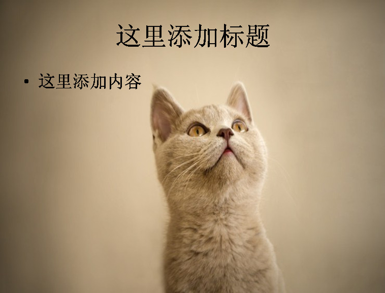 电脑 封面 可爱 小 猫咪 萌 宠 背景图片 动物 猫 ppt封面 萌宠 高清 自然风景 模板