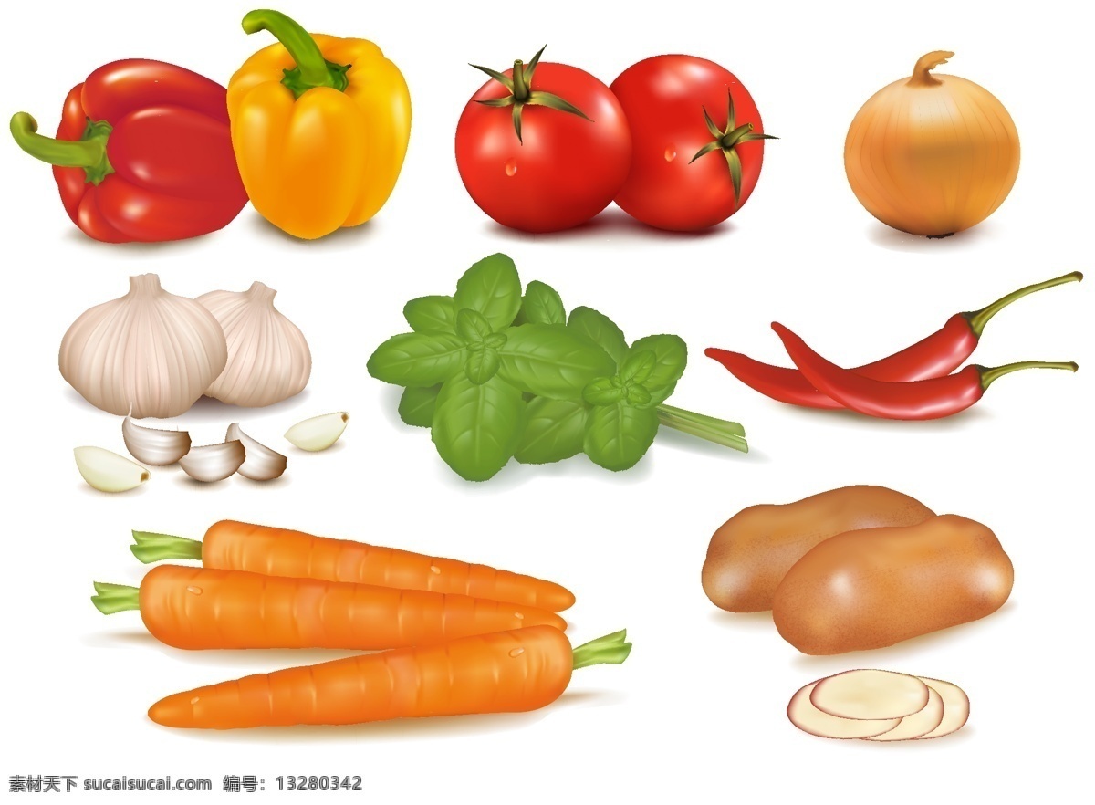 蔬菜 矢量图 大蒜 番茄 胡萝卜 辣椒 洋葱 日常生活