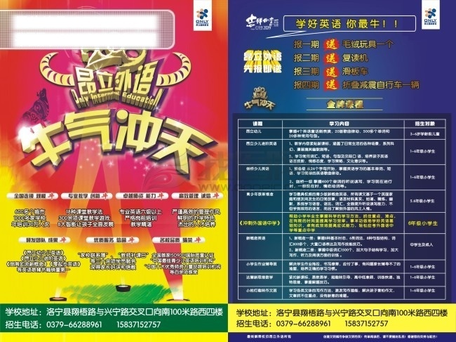 昂立 宣传单 牛气冲天 昂立外语 矢量图