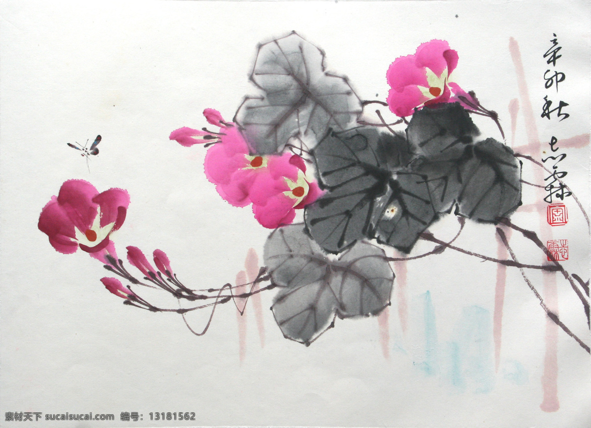 牵牛花 国画 小品 斗方 博纳书画 绘画书法 文化艺术