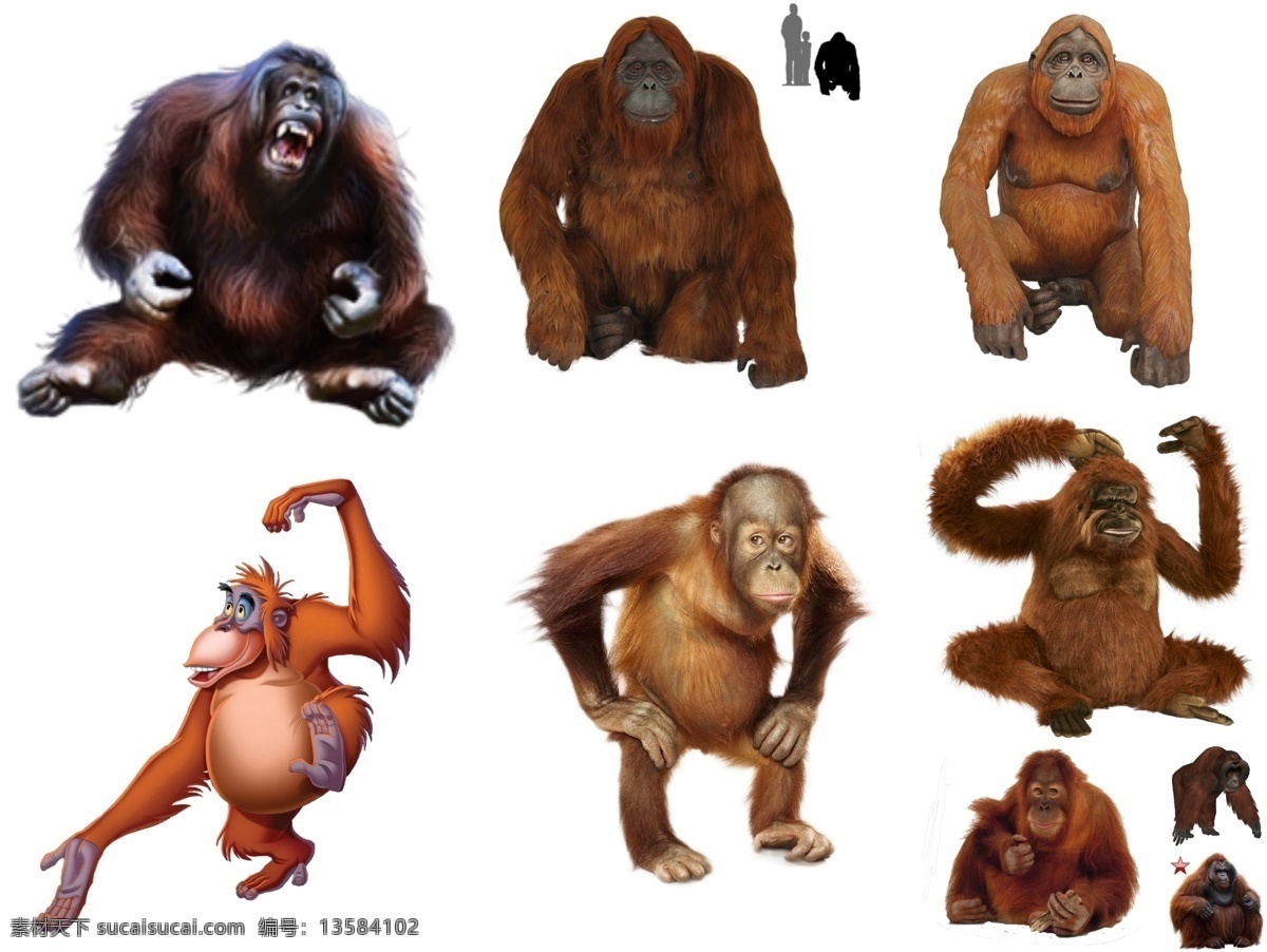 大猩猩 免 扣 高清 素材图片 大猩猩png 大猩猩psd 大猩猩免扣 大猩猩素材 生物世界 野生动物
