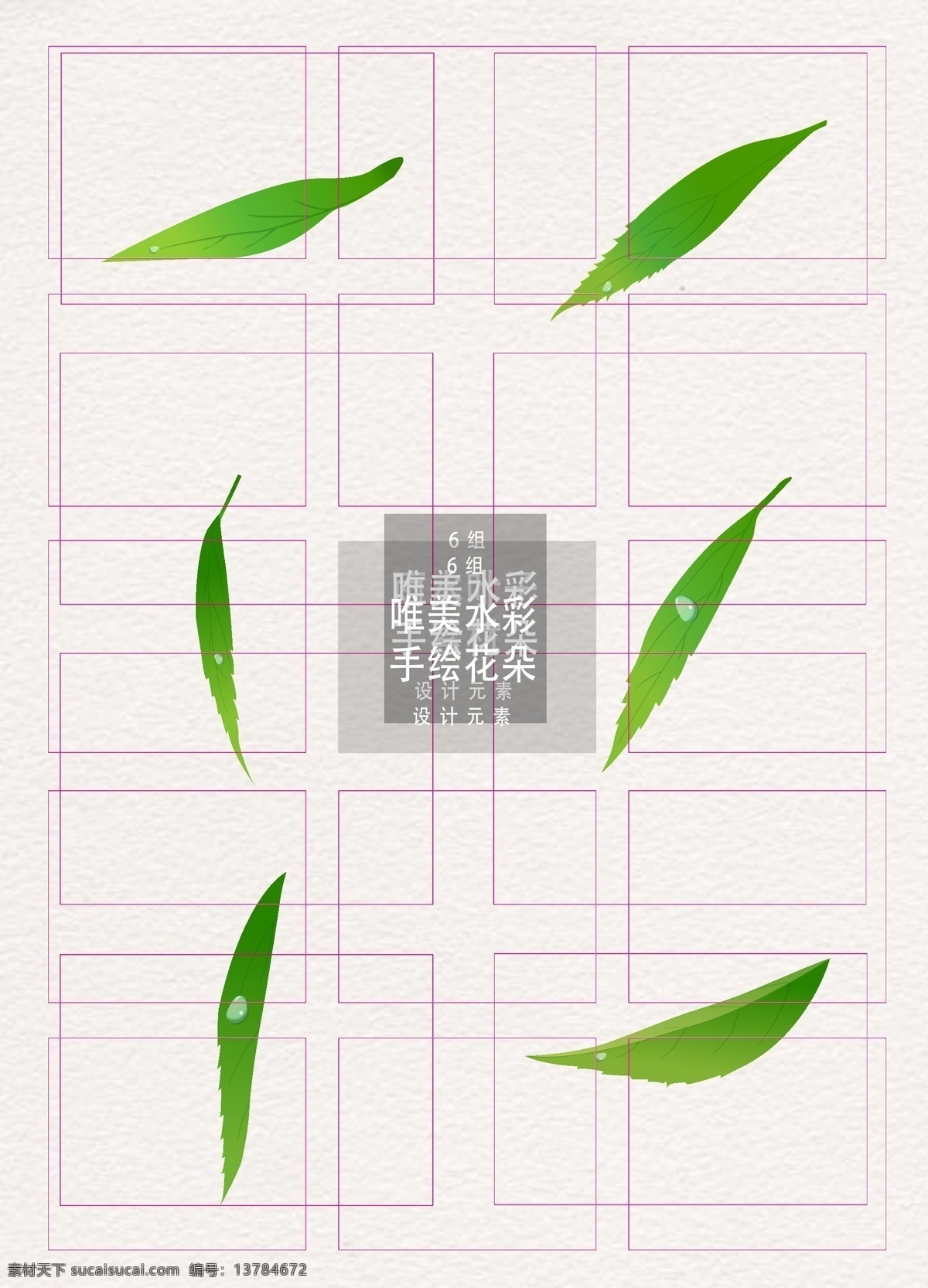 绿叶 谷雨 清新 雨水 矢量 元素 干净 清爽 露珠 节气 细叶