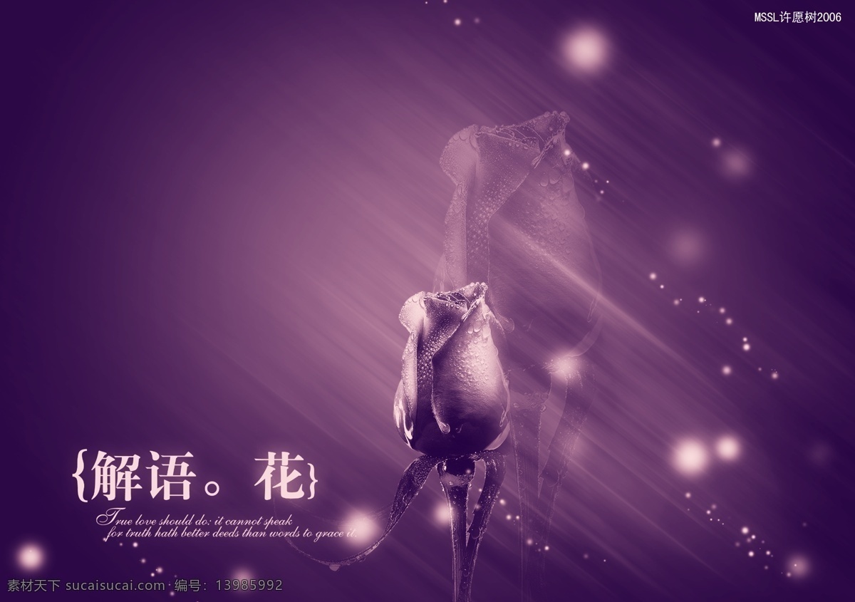 唯美 梦幻 紫色 花朵 婚纱 模板 封面海报 广告背景设计 唯美梦幻 黄朵 系列婚纱模板 个人 摄影写真 海报背景图