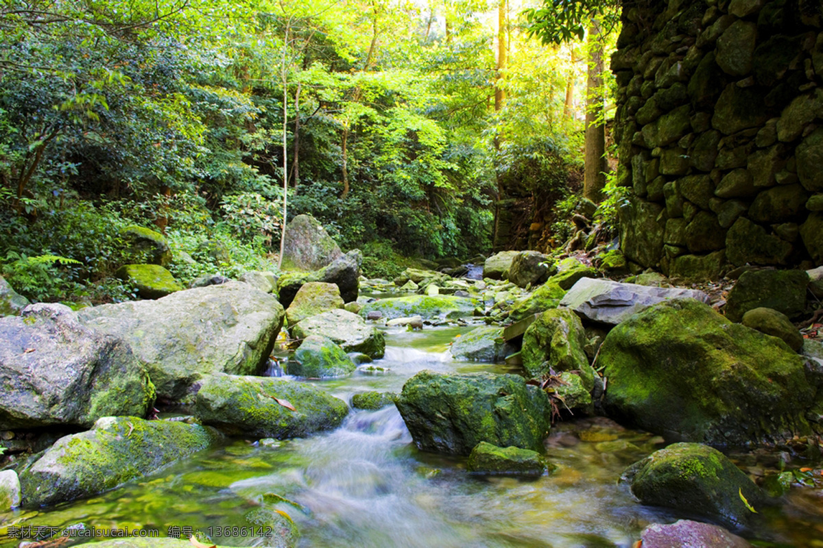 原生态山林 原生态 山林 绿色 景点 美景 自然 绿叶 旅游 国内旅游 旅游摄影