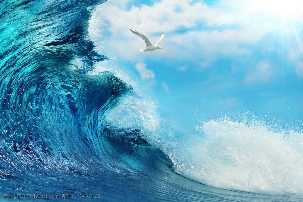 翻滚 海上 波浪 海水 海鸥 蓝天 白云 自然景观 自然风景