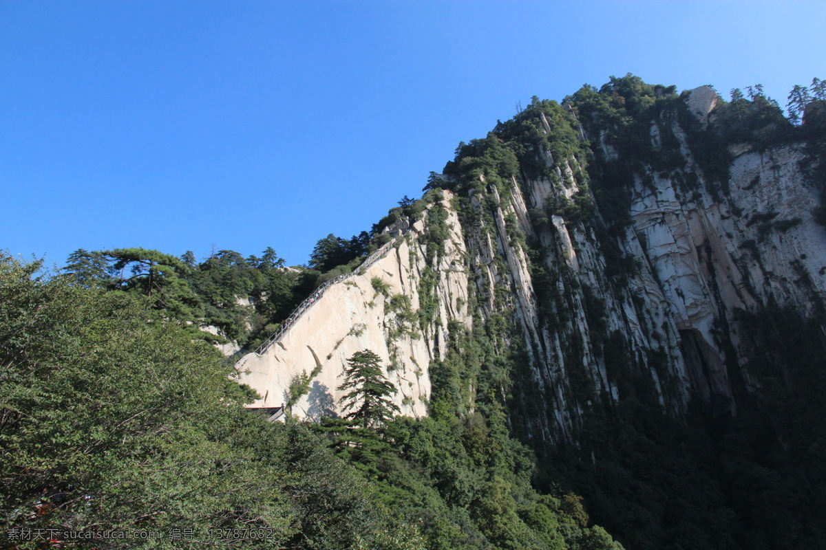 华山 苍龙岭 山脉 陡峭 蓝天 树木 国内旅游 旅游摄影