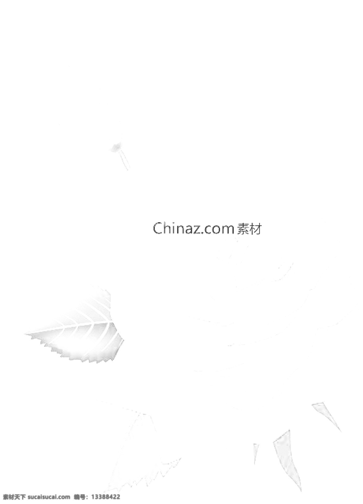 水滴 玫瑰花 宣传 背景 矢量图 花卉 玫瑰 植物 矢量 花纹花边