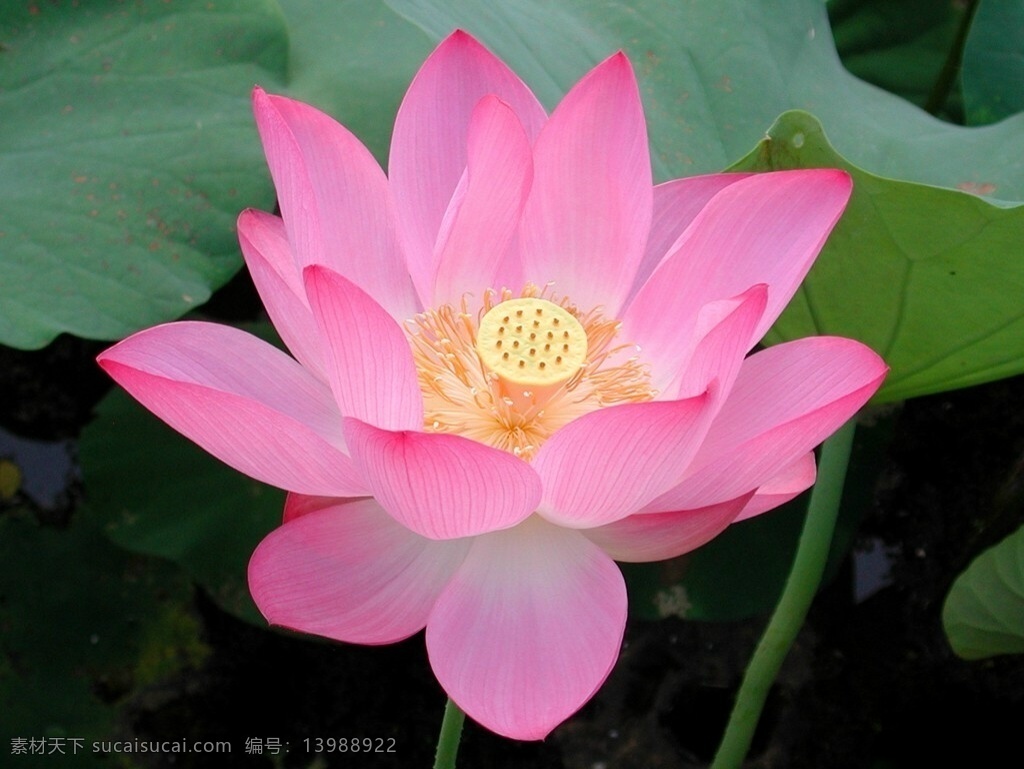 最 漂亮 素材图片 最美图片