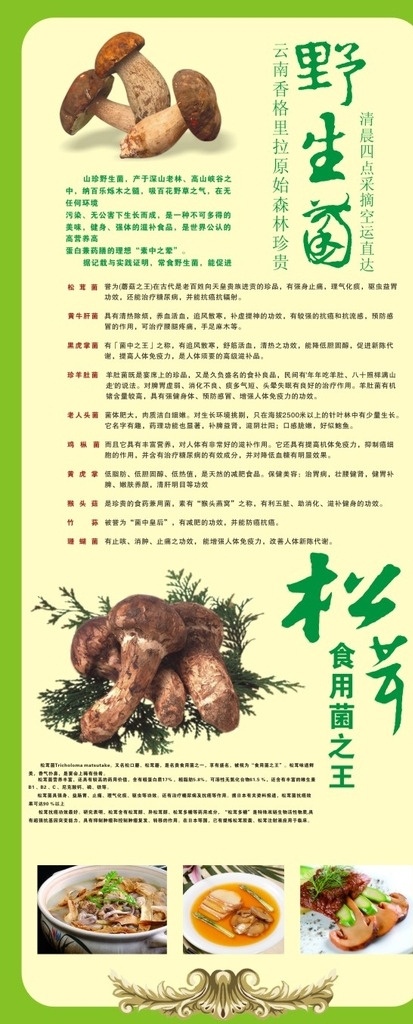 野生菌海报 菌海海报 野菌 菌汤 炒菌