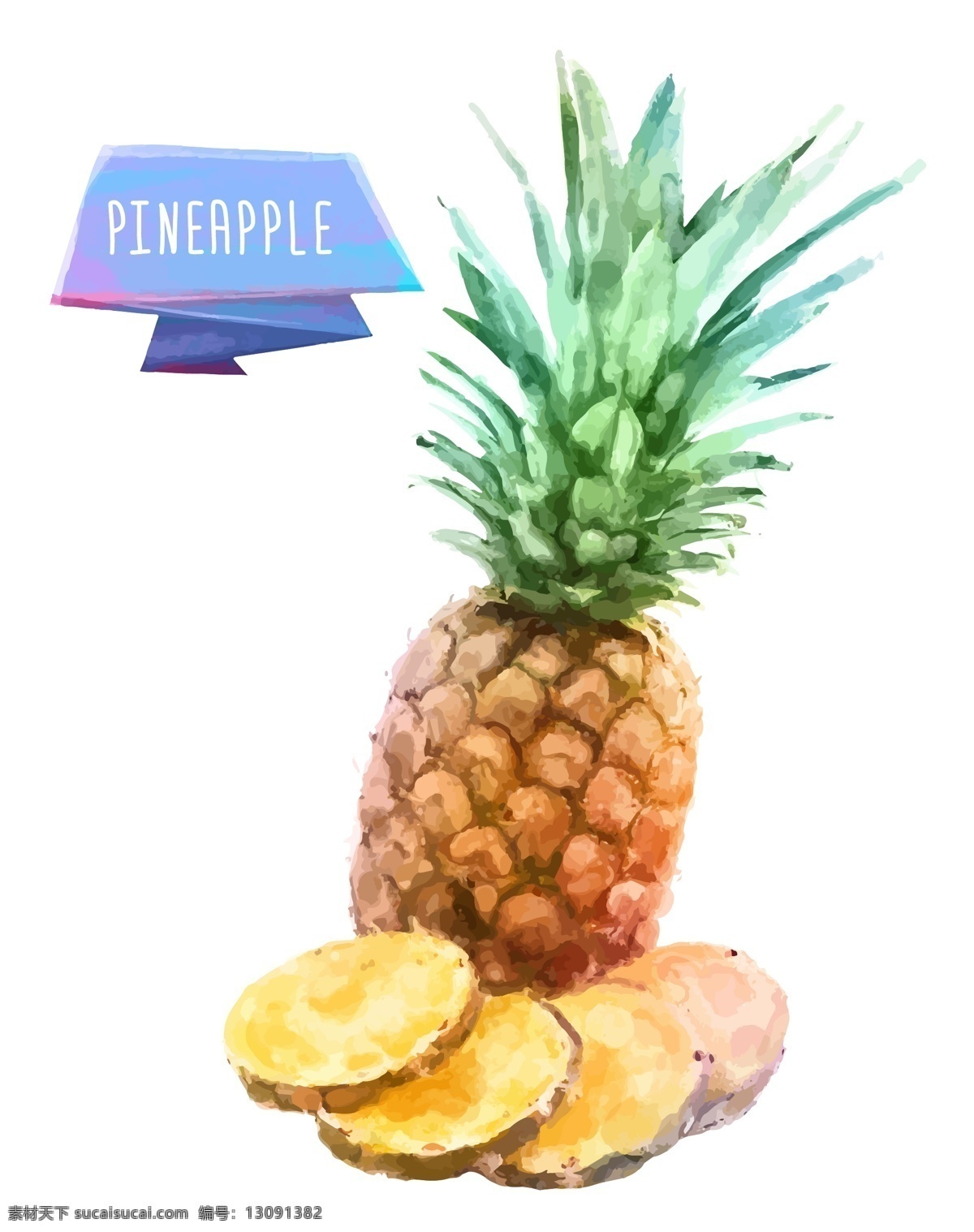 菠萝 水果 水彩 矢量 菠萝水果 水彩矢量素材 凤梨 绿叶 pineapple 生物世界