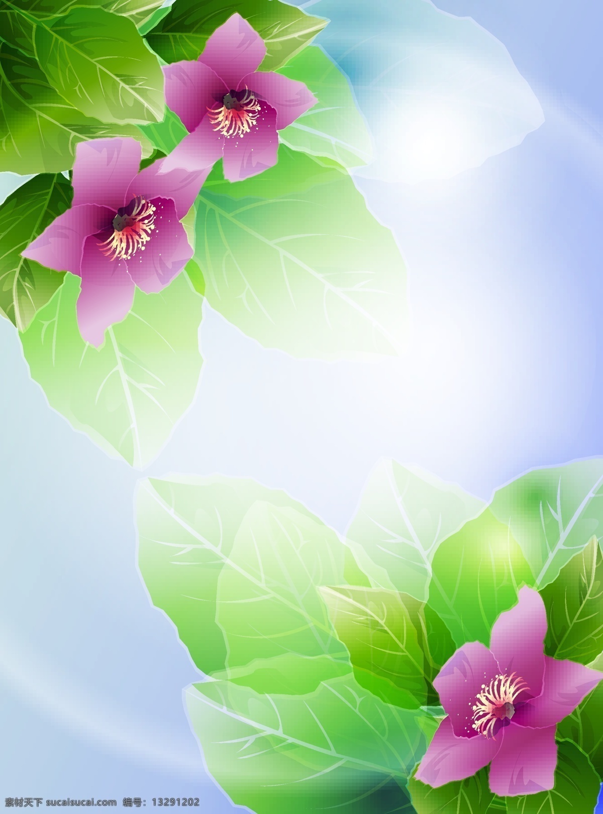 炫丽花朵 花朵 绿叶 光斑 通透 矢量素材 叶脉 白色