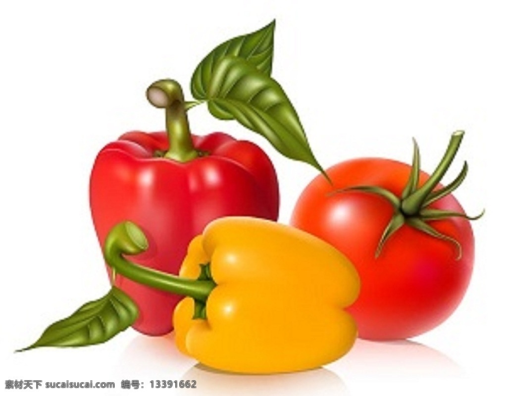 矢量实时上色 矢量 实时上色 水果 甜椒 蔬菜 生活百科 餐饮美食