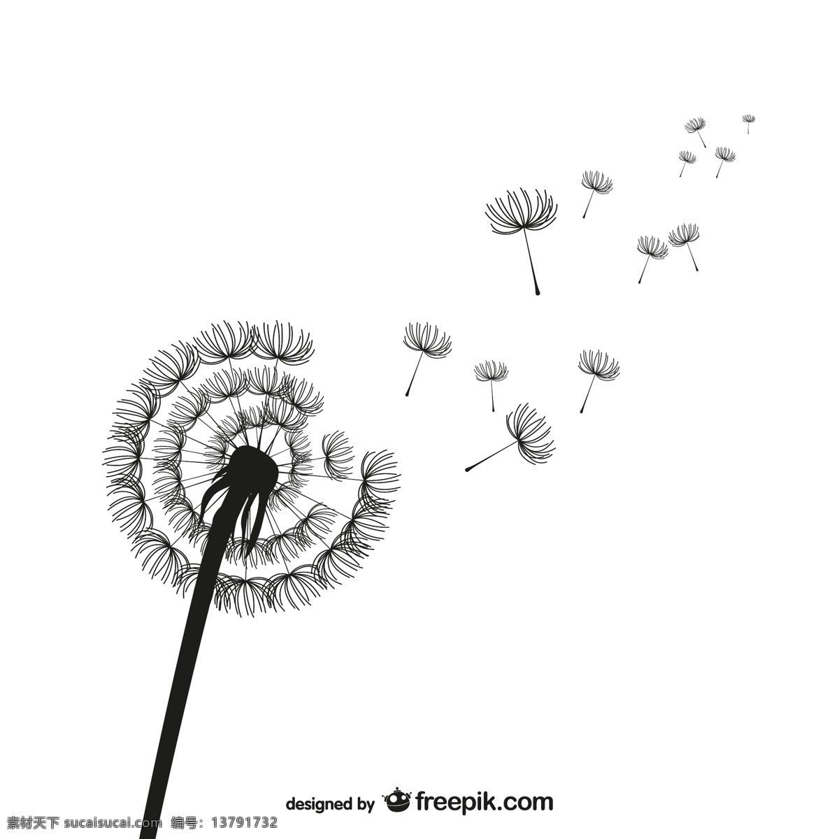 蒲公英 剪影 矢量 花卉 种子