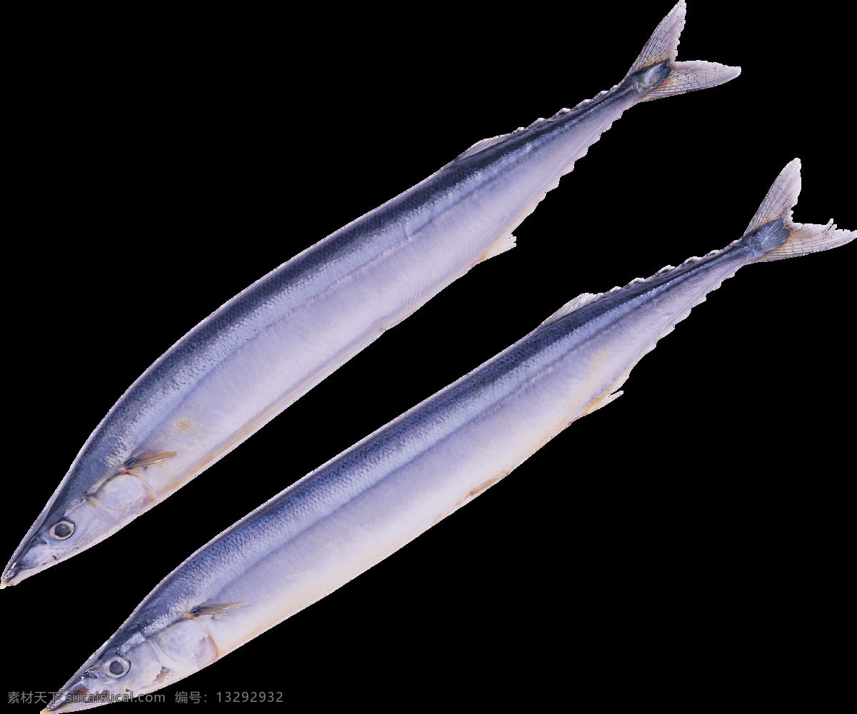 海洋鱼类 图谱 海鲜 鱼类 食物鱼 热带鱼 鱼图谱 深海鱼 生物世界