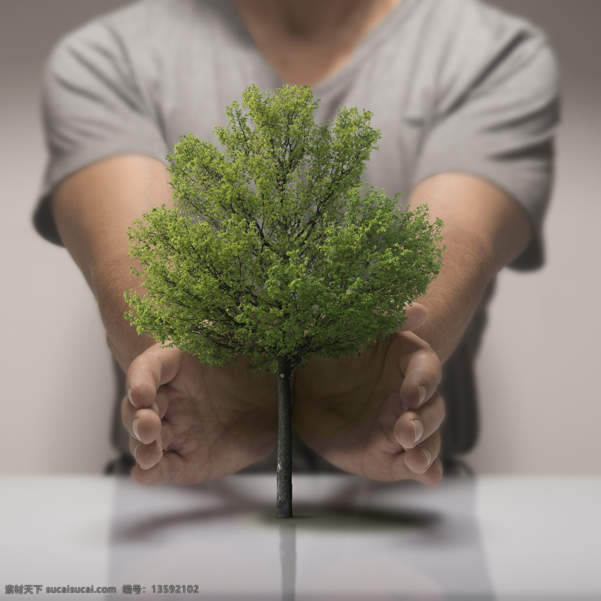 桌子 上 树木 人物 背景 大树 植物 手 职业人物 其他类别 生活百科 灰色
