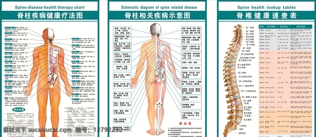 脊柱 疾病 相关 示意图 脊柱疾病 相关示意图 脊椎 健康 速查表 骨科 骨病 颈椎 设计稿