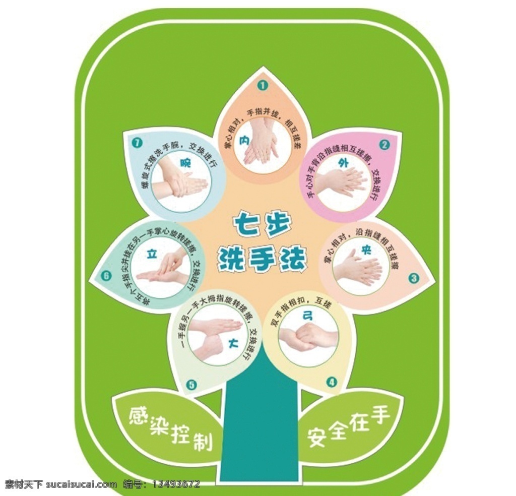 七步洗手法 洗手 七步 学校 花型 卫生