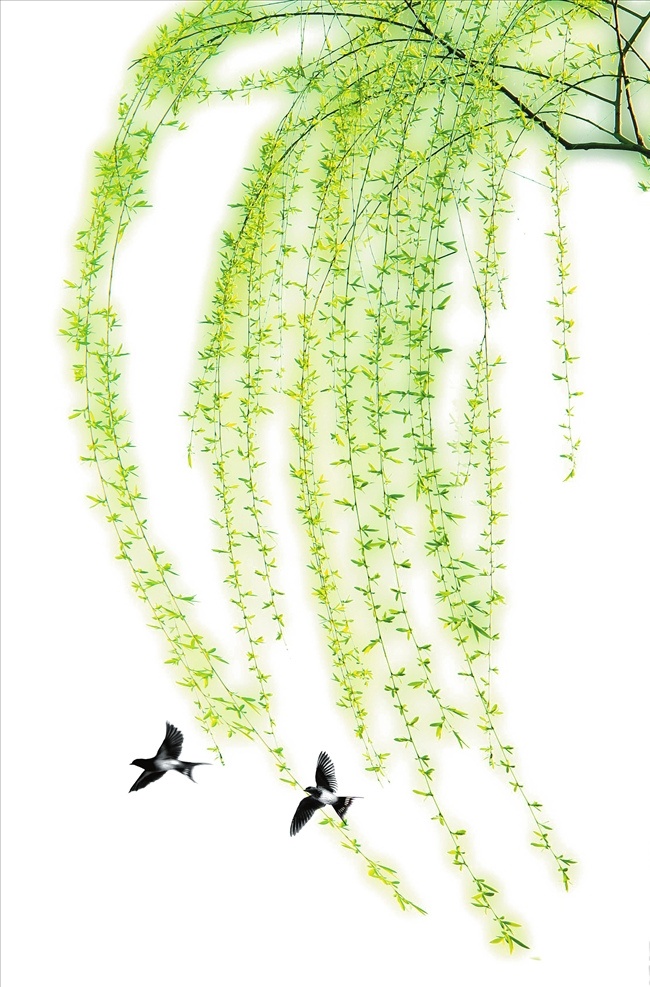 春季 柳树 燕子 手绘 绿色垂柳 自然景观 自然风光