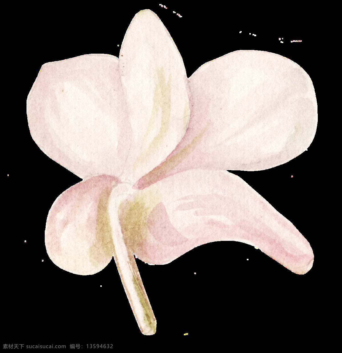 淡粉色 花卉 浪漫 免扣素材 水彩 透明素材 唯美 渲染 装饰图案 娇嫩 兰花 透明