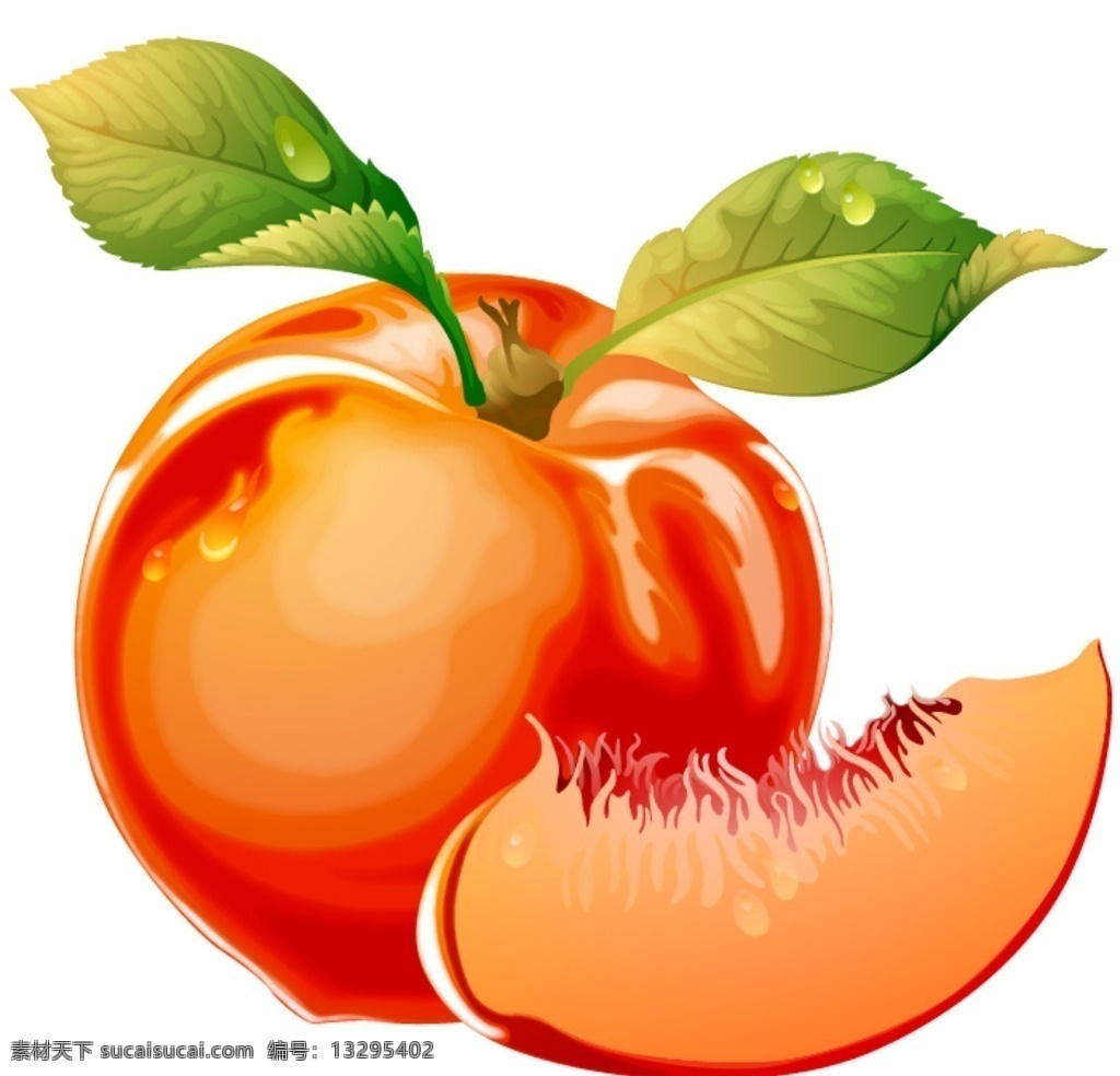 桃子 水果 矢量 桃子水果 矢量素材 绿叶 桃肉 生物世界