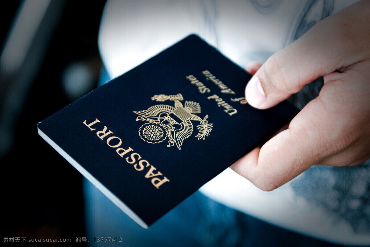 护照通行证 护照 通行证 美国 蓝本 国徽 考核 其他类别 生活百科 黑色