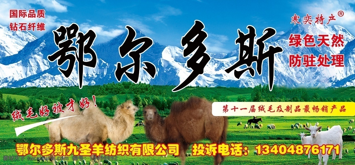 鄂尔多斯 绒毛 骆驼 山羊 天山 草地 被告 广告设计模板 源文件