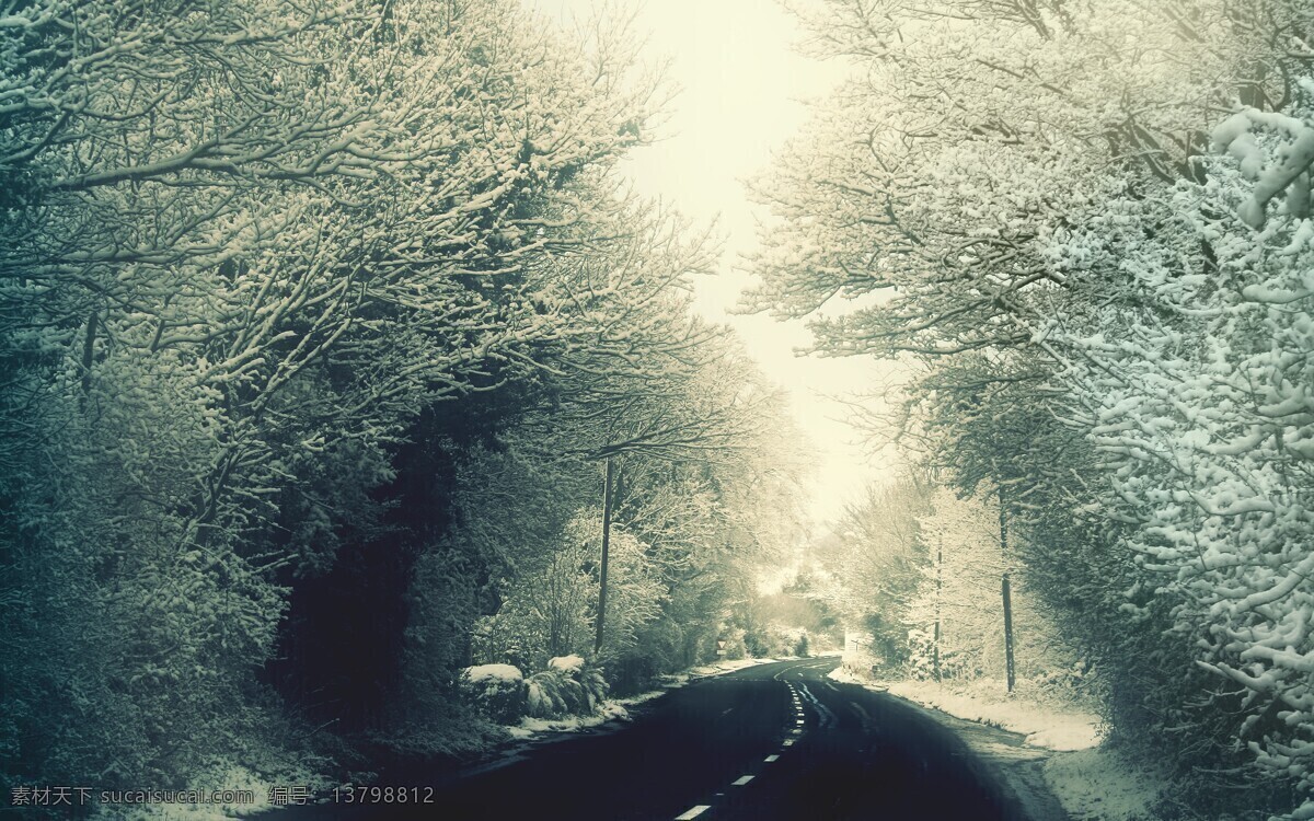 冬日风景 雪景 唯美 马路 灰色